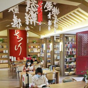 高清视频黄色网站