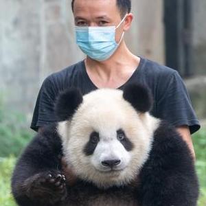 泰国人性爱视频在线看