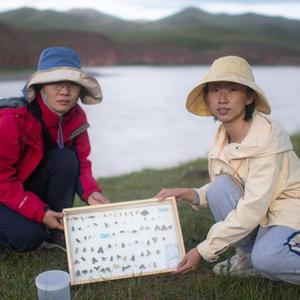 女性脱 给我揉 偷窥