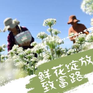女子下部欣赏BBssW