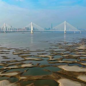 fi11实验室研究所2023