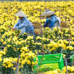 www.草逼