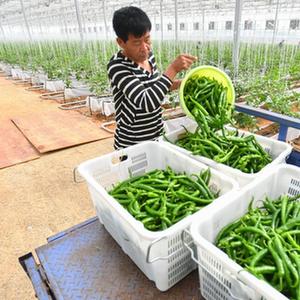 成人 影片 线 上 看