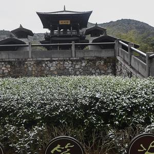 国漫
