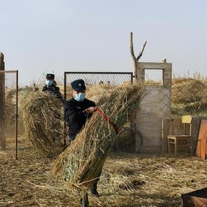 免费无码毛片一区二区APP