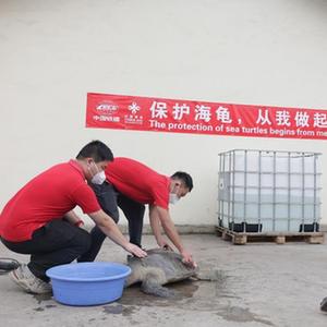 欧美性猛交 XX 自慰中国