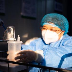 免费播放永久黄色视频