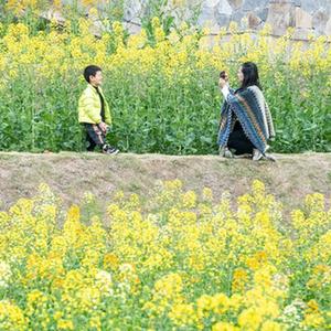 免费看高清操逼视频