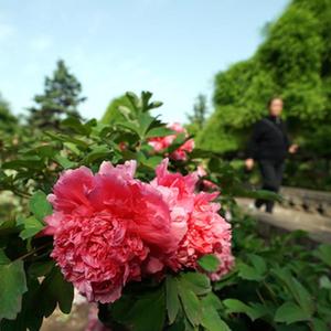 高清无码毛在线看