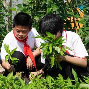 给岳M洗澡不小心进去了视频