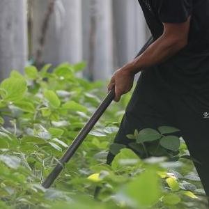 Free性印Hd在公交车上