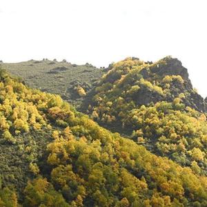 脫衣秀