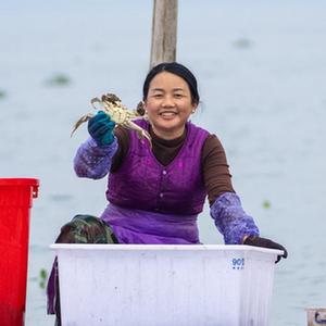 黄色电影入口在线观看的