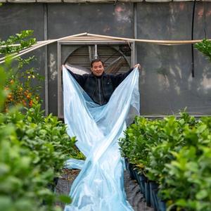 公交车后排被c爽了