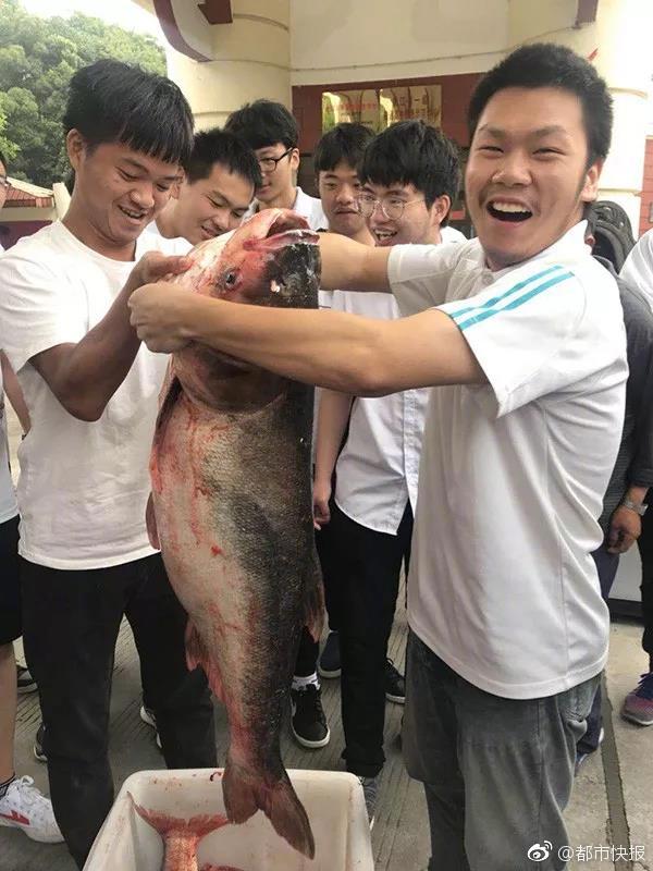 菊池