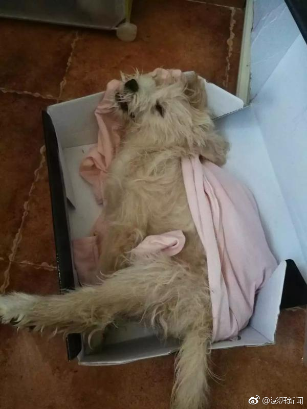 智能时代：体育评论 高清如何玩转高科技设备？