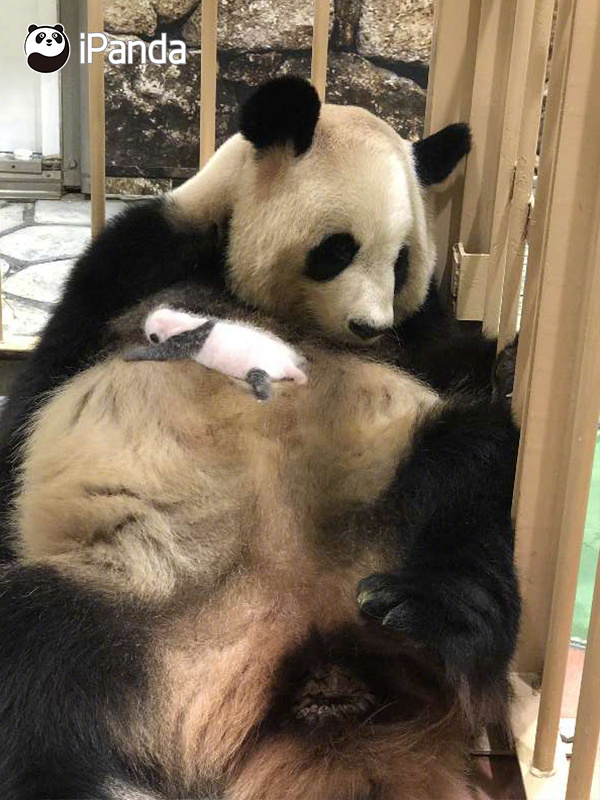 重庆晚上比较适合去的地方 _ 美容院,重庆晚上值得去的地方推荐