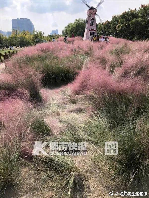 免费可直接打开的在线视频网站