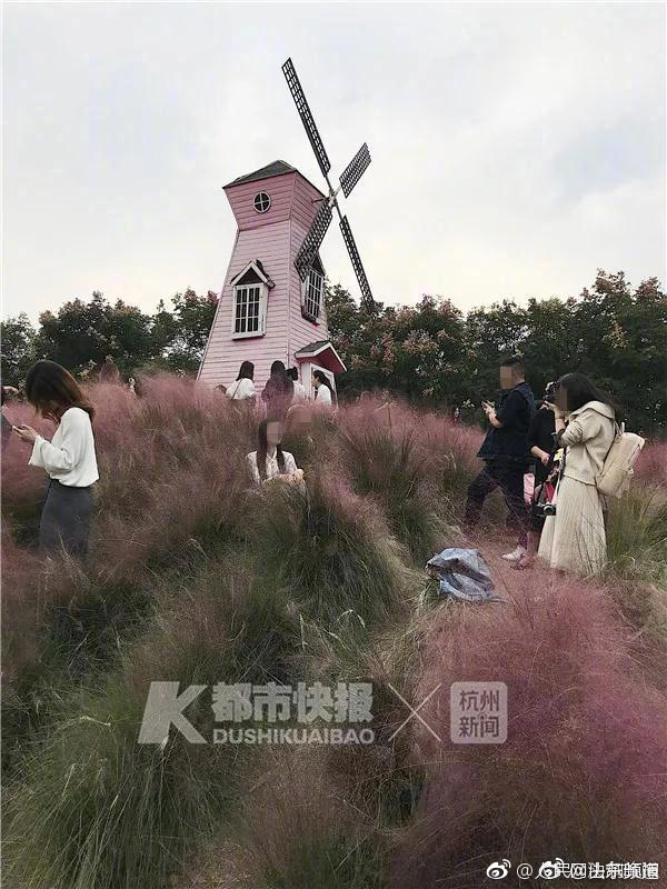 思思精品