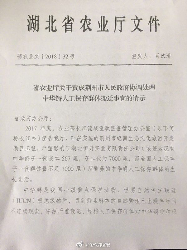 河南老头搡老太BBw
