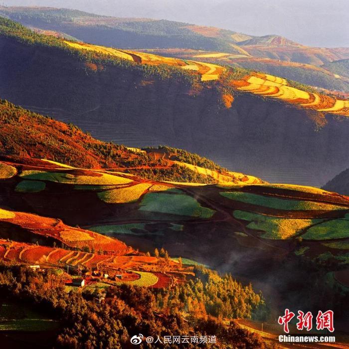 和泉紗霧