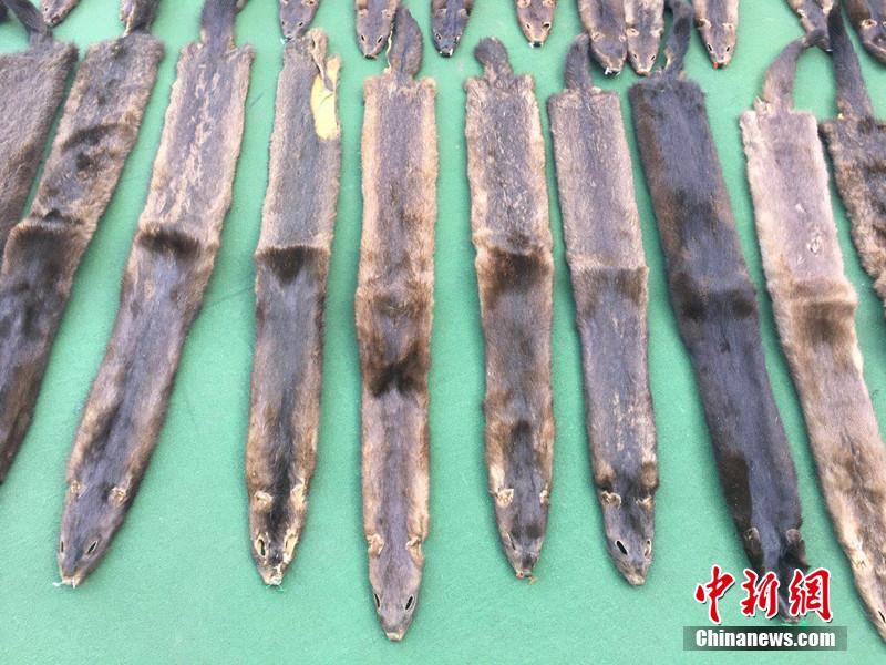 内射北京肥熟妇
