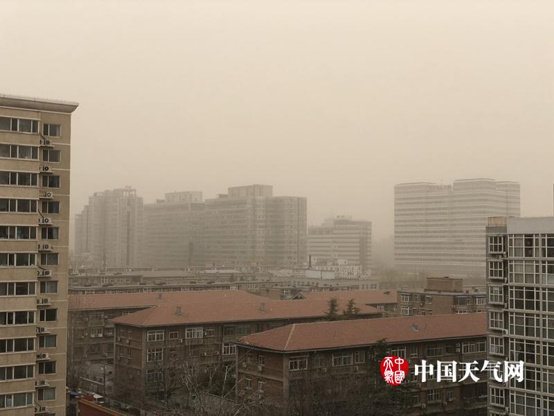 天天爱综合