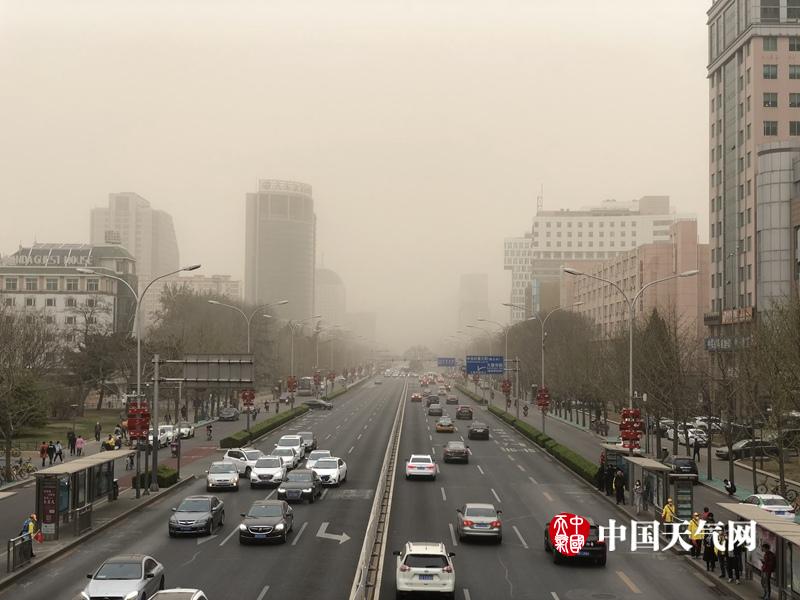 性片高清无码