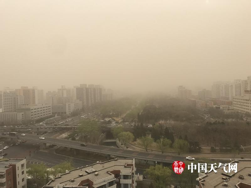 午夜秋霞无码鲁丝A片一级