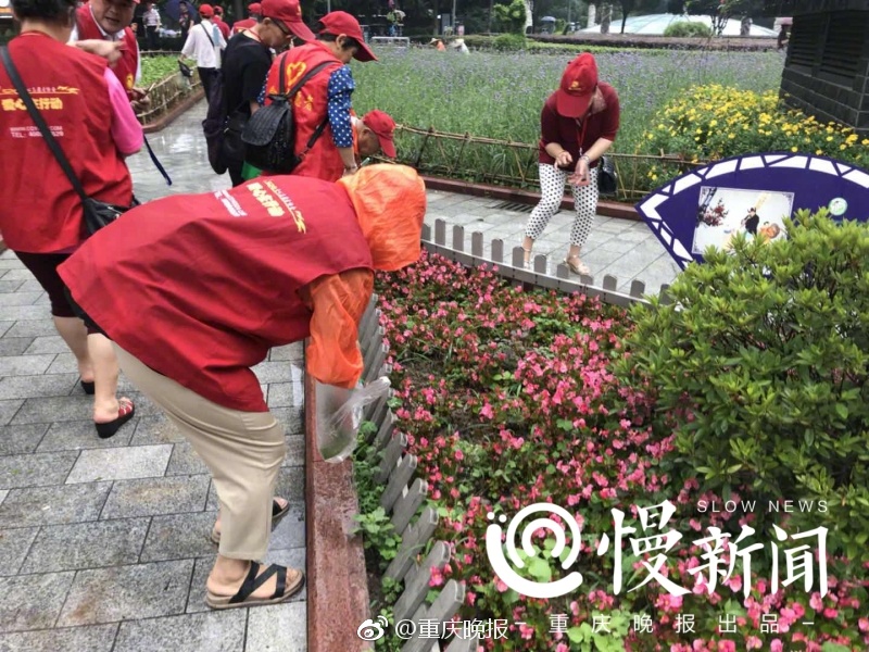 白丝老师让我 了一夜动漫