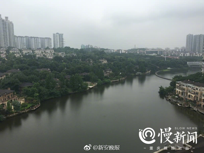 操楼下老女人小说