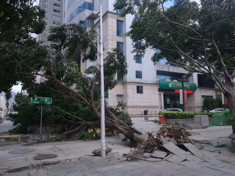 国模沙沙浓密黑毛150P