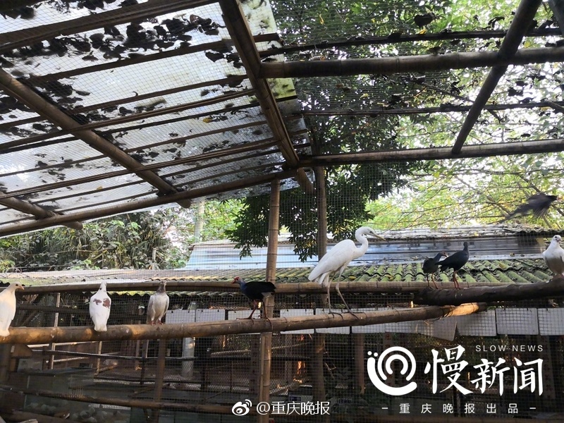 国外 情 色