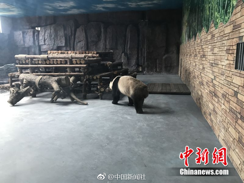 海角社区披风封神妈妈稿件