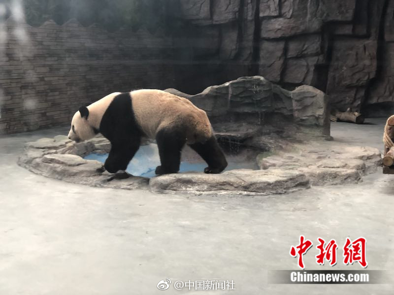 黄色夫妻在线交换观看交换