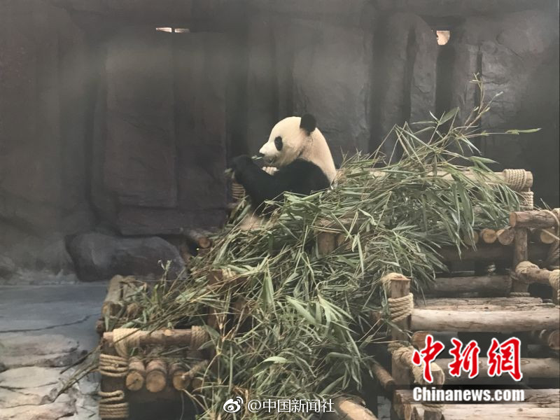 国搜韩国女流氓操逼片