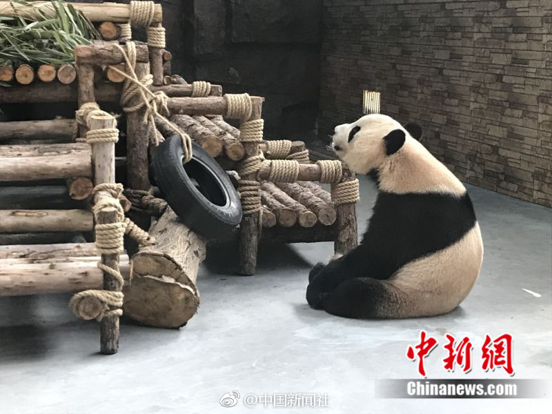 女人口述3p后都会上瘾