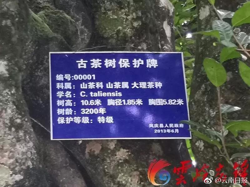 国产精品伦子伦露脸