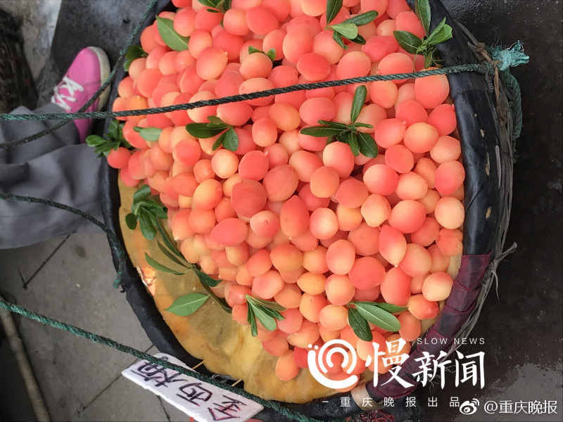 8x8x拨牐拨牐x8免费版怎么设置