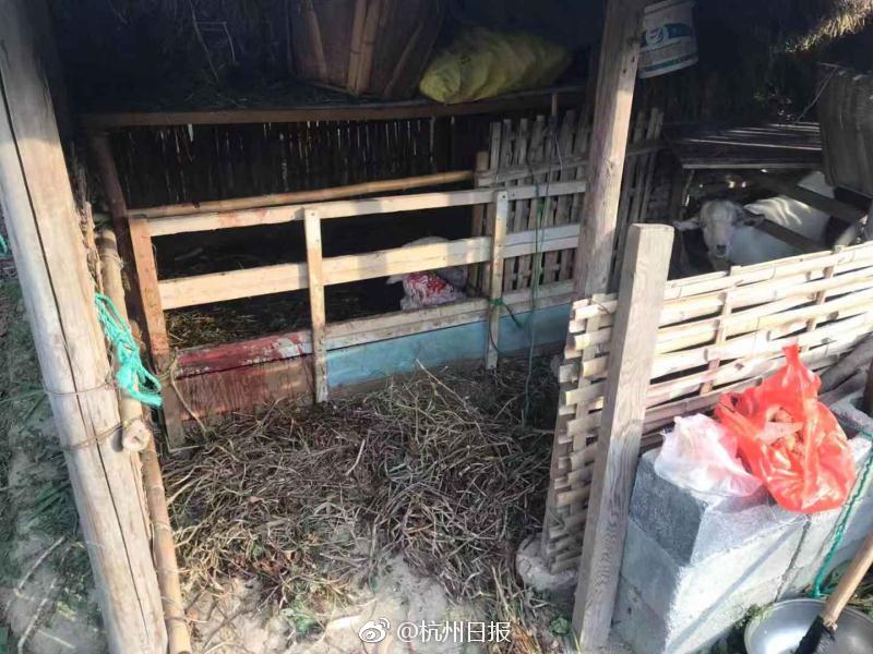 欧美性爱一级片