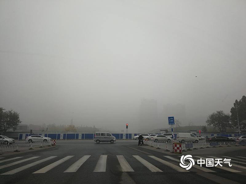 Av播放的黄色网址