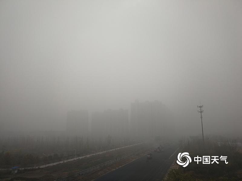 免费操逼软件