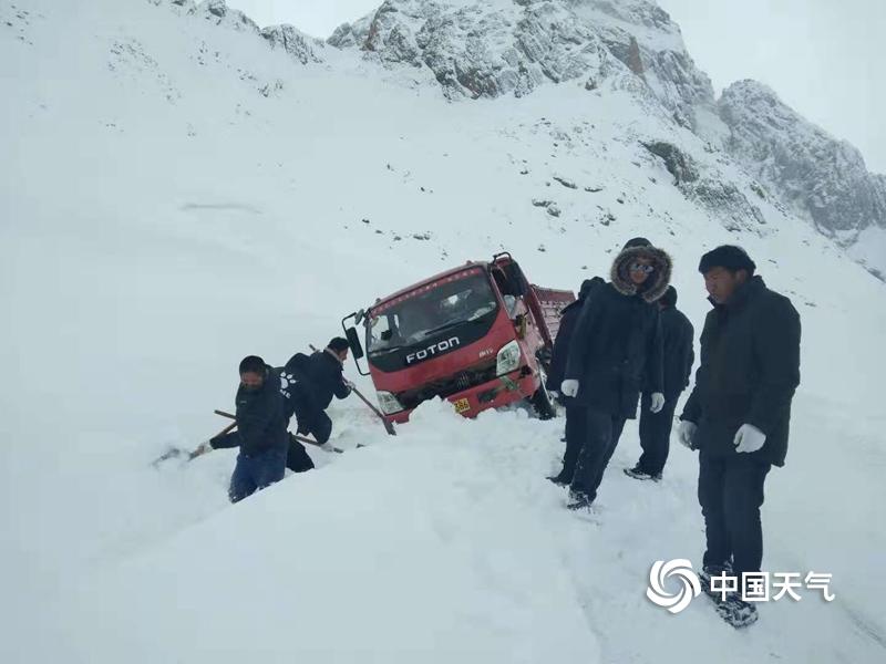 内射无码影视
