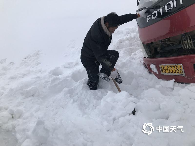 靠逼视频下载