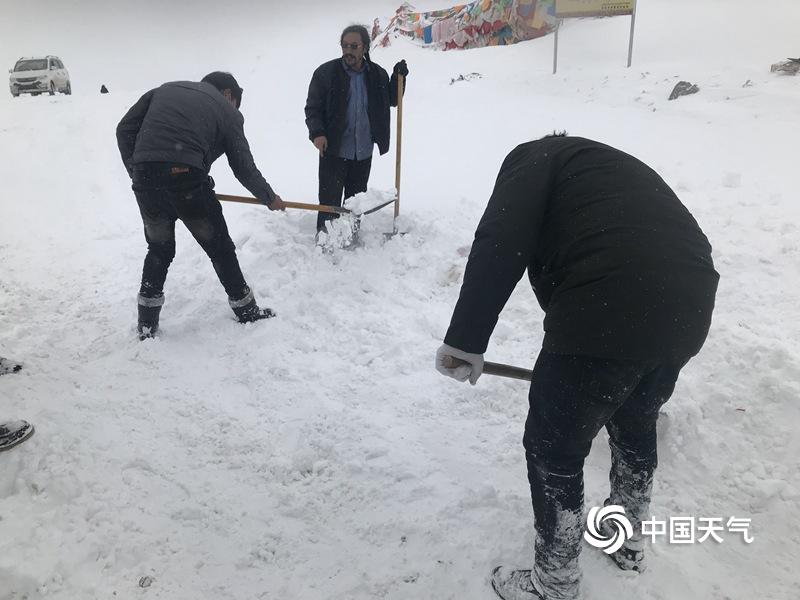 美国老妇女七八十岁的逼毛多的视频