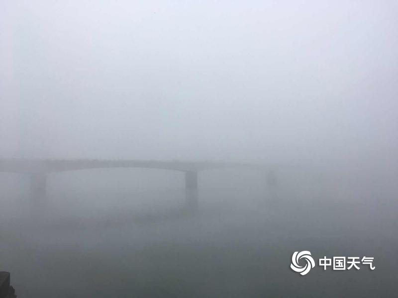 台湾一级孕妇片