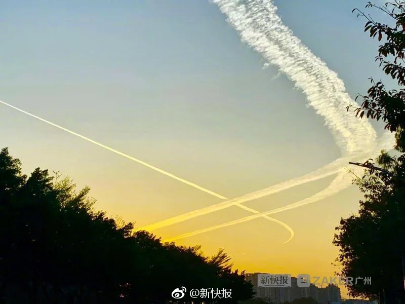 黄色网站免费网址