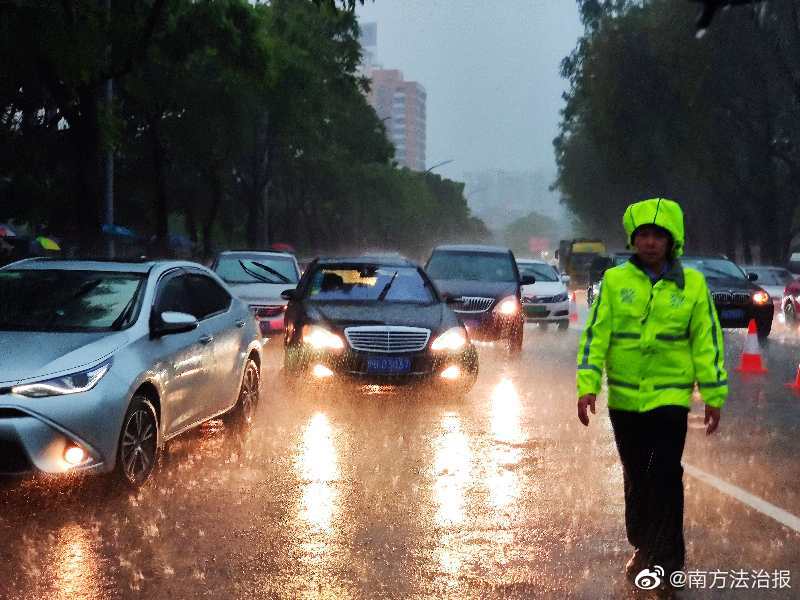 鲁大师在线观看免费观看在线