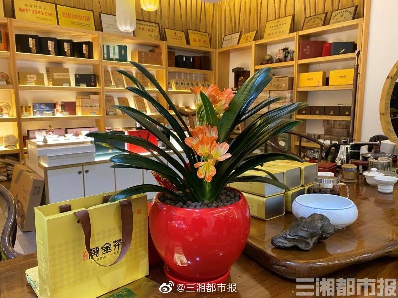 亚洲黄色网站免费观看