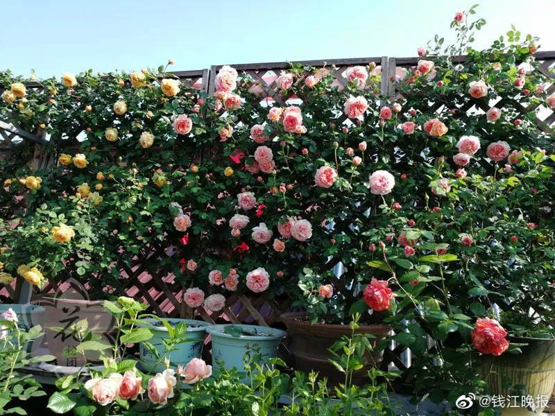 丰满岳乱一区二区三区观看方式